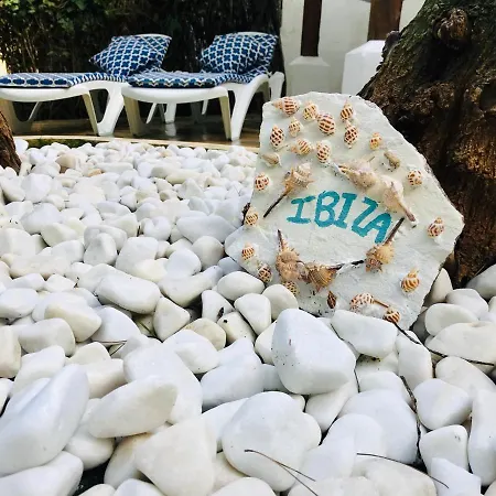 Iara 招待所
