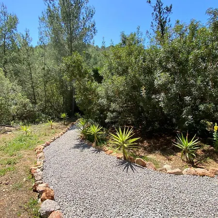Iara 3* Sant Miquel de Balansat